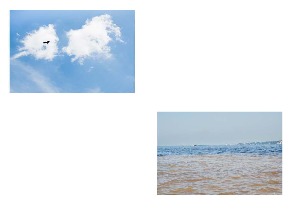 amazon Image 2