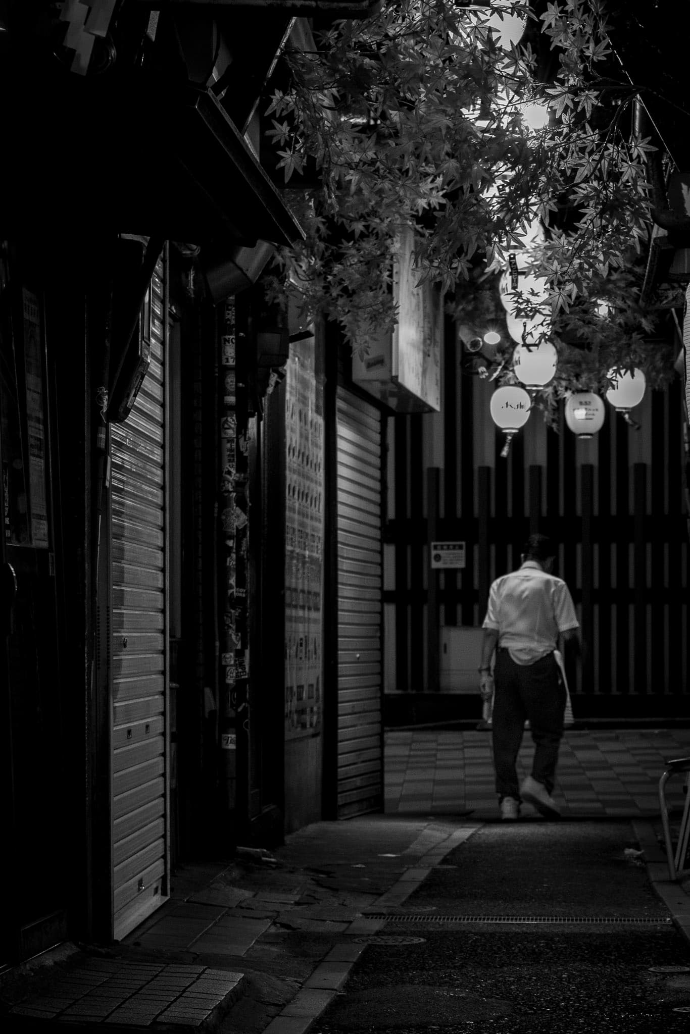 night Image 9